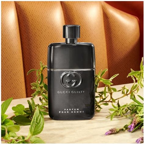 gucci guilty intense pour homme fragrance|gucci guilty pour homme absolute.